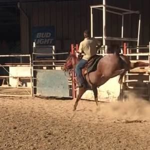 Meet your Posher, Hunter